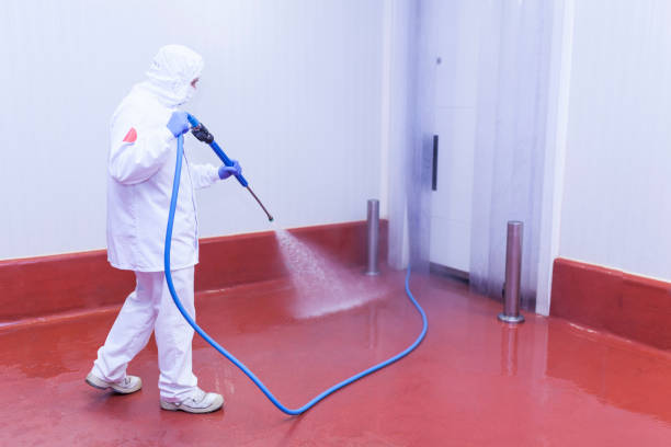 Best Patio and Deck Pressure Washing  in Linln Park, CO