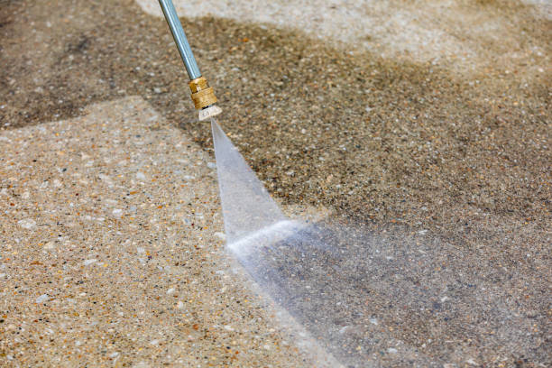 Best Boat and Dock Cleaning  in Linln Park, CO